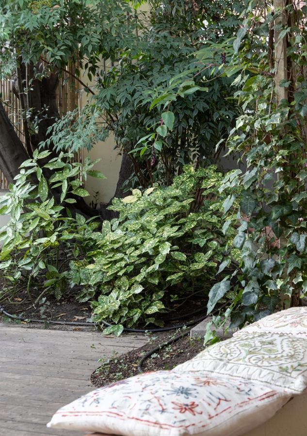 B&B Arianna Ravenna Dış mekan fotoğraf